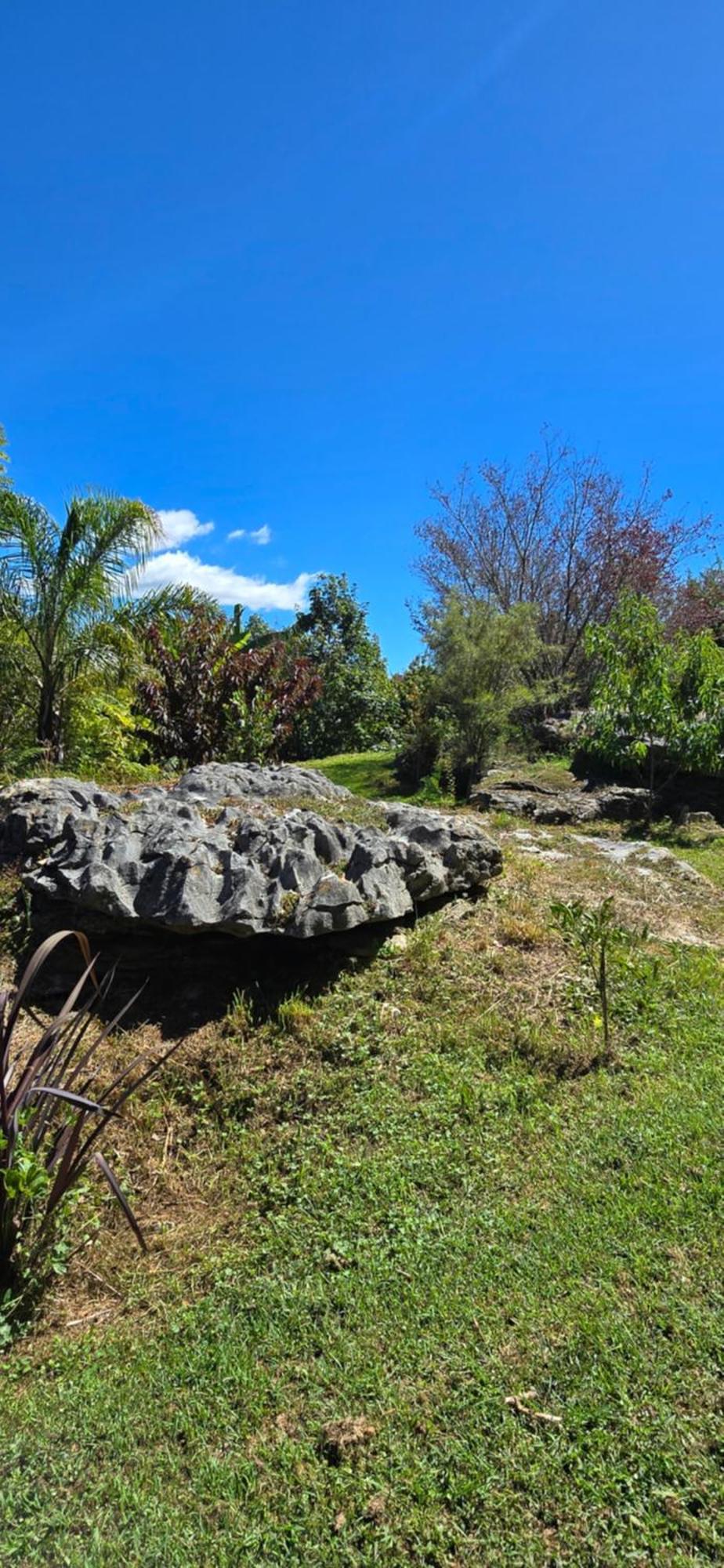 The Rocks Chalets Takaka Exteriör bild